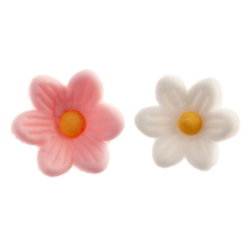 Margaridas brancas e cor de rosa