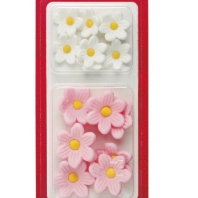 Margaridas brancas e cor de rosa