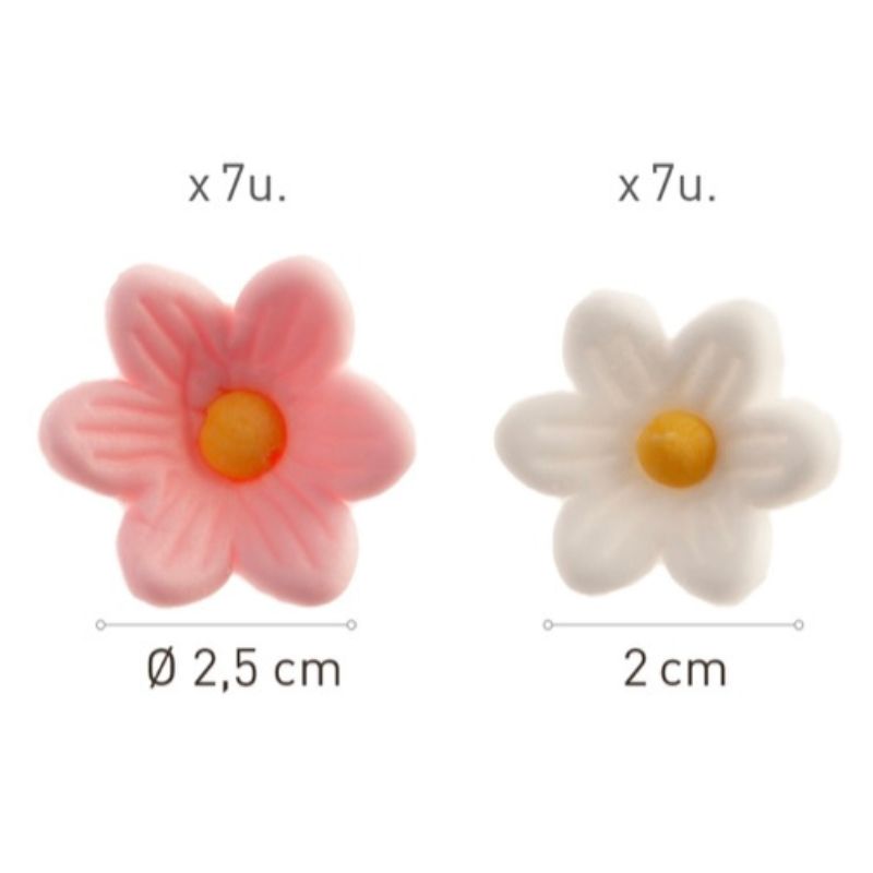 Margaridas brancas e cor de rosa