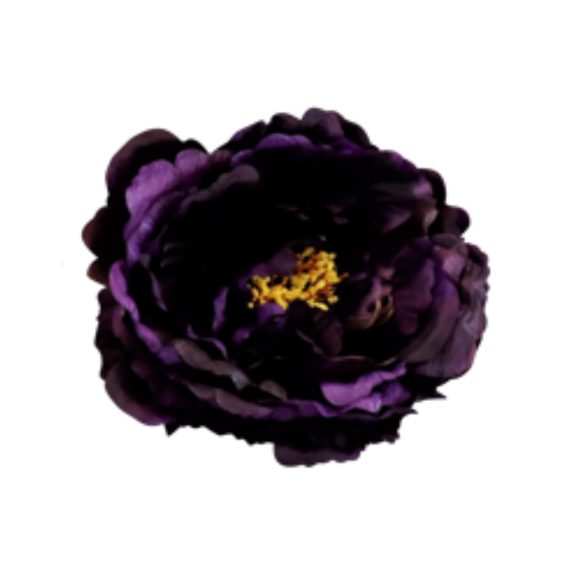 3648D_1.png