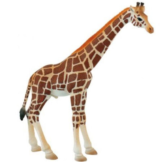 Girafa Touro