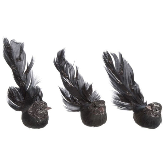 Pássaro Decorativo Preto