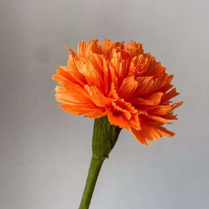 B16600LR_1.jpg