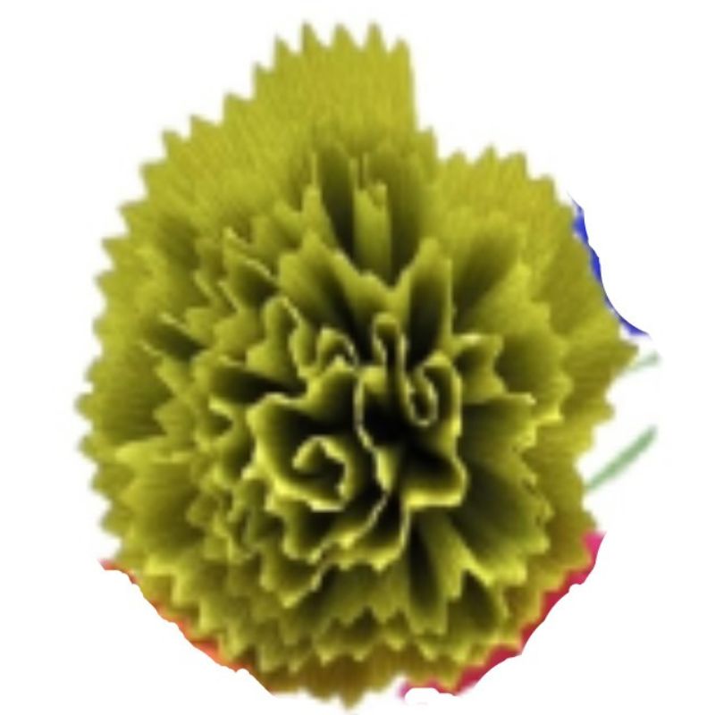 B16600VC_1.jpg