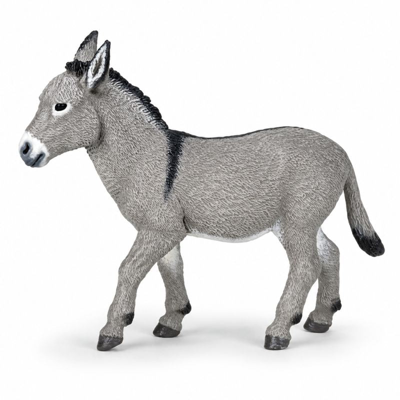D51179_1.jpg