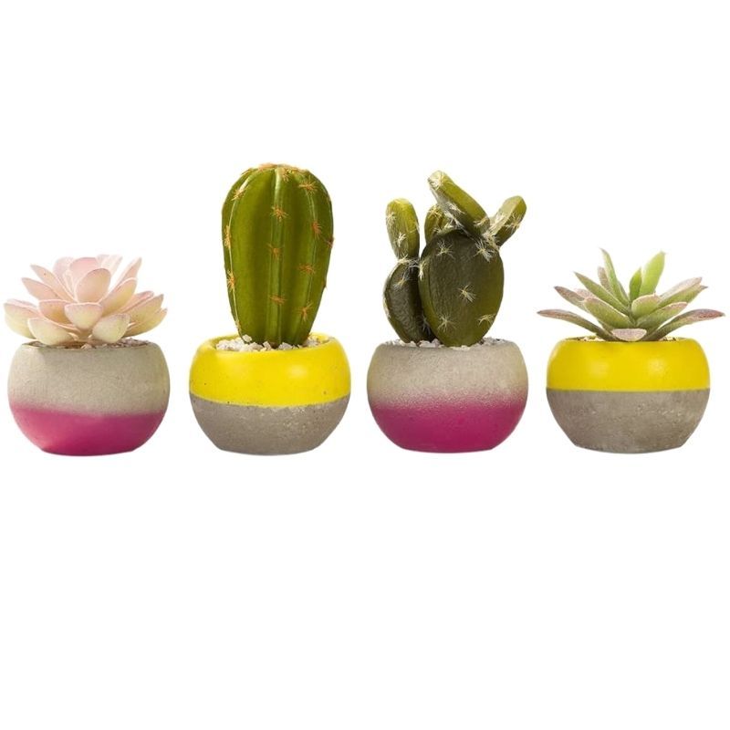 FST3-SUCCULENT_1.jpg