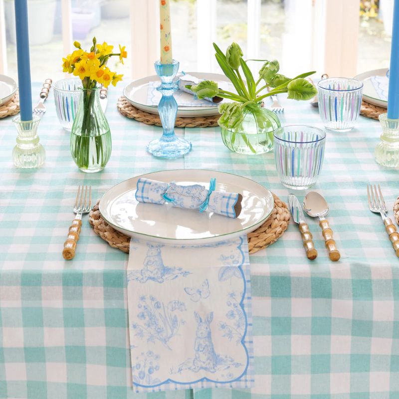 GINGHAM-TCLOTH-MINT_2.jpg