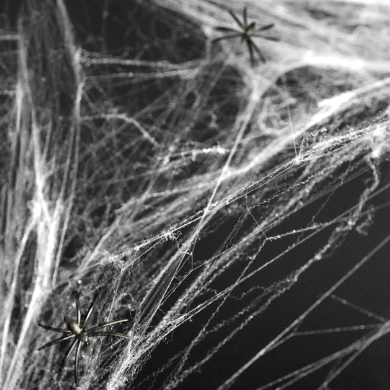Teia de Aranha Branca