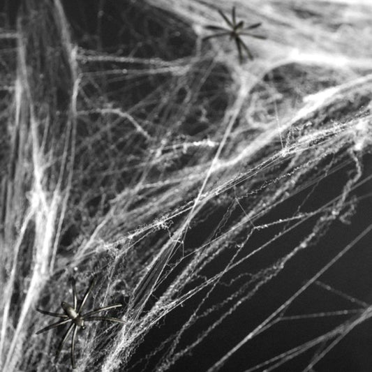 Teia de Aranha Branca