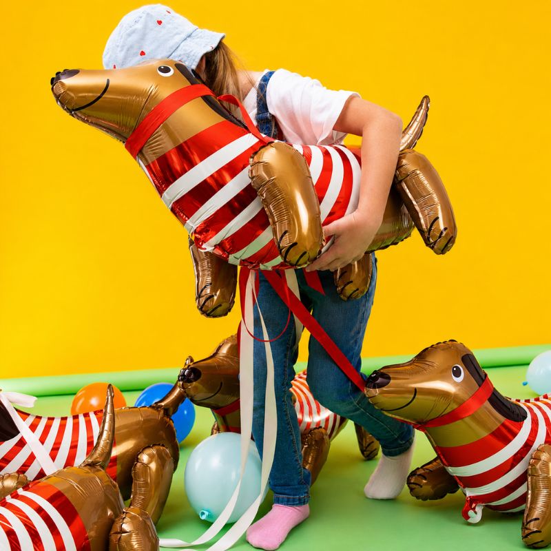 Balão Dachsund