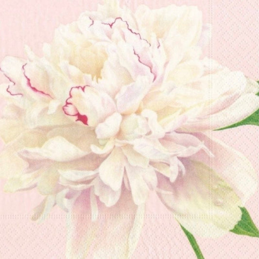 Guardanapos Peonies Blush 33cm