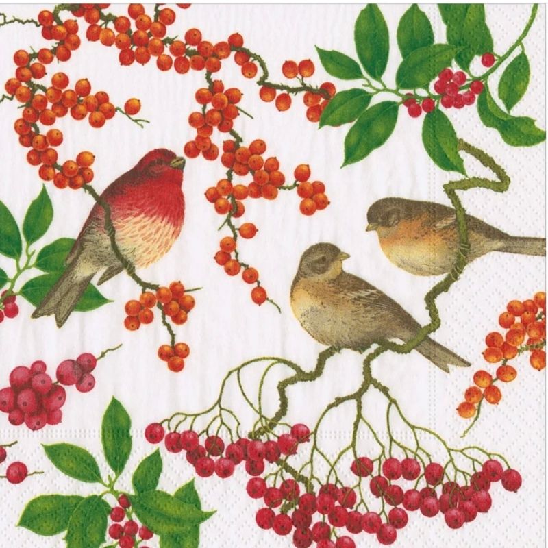 Guardanapos birds and berries