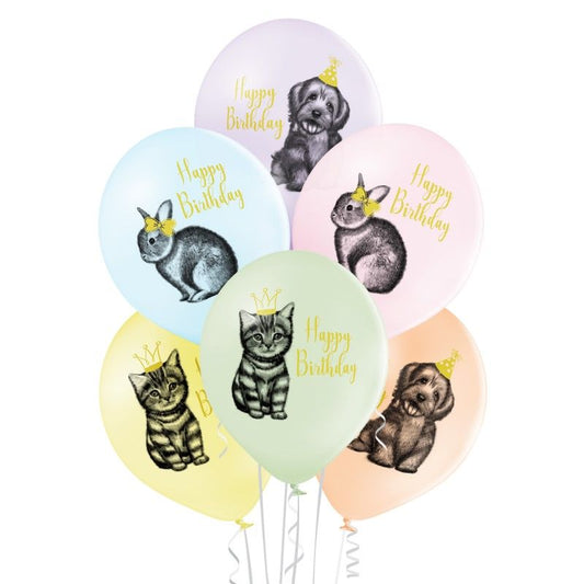 Balões látex birthday pets ...