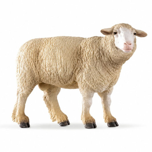 Ovelha Merino