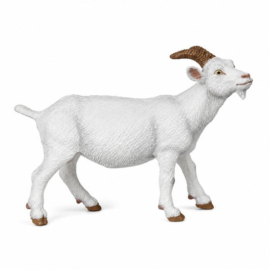 Cabra Branca