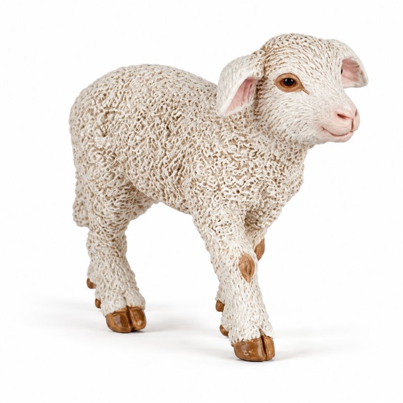 Cordeiro Merino