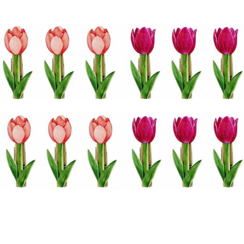 Molas flores