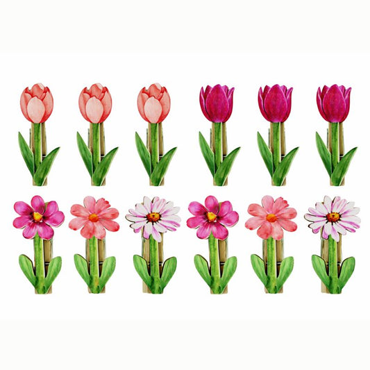 Clips Floridos 12pcs