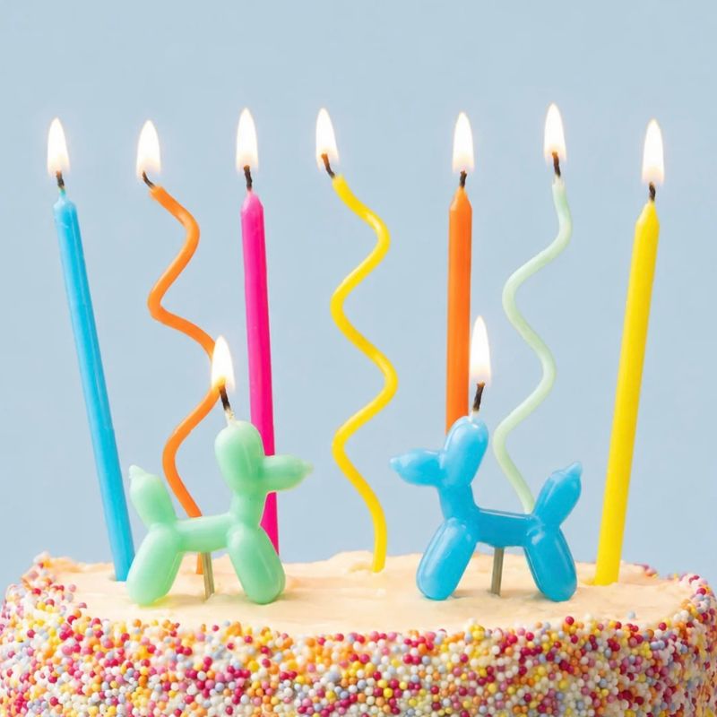 Velas rainbow cães