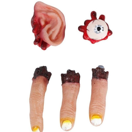 5 ORGAOS HUMANOS