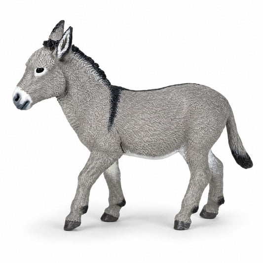 Burro de Provença