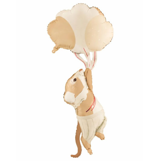 Balão Ratinho
