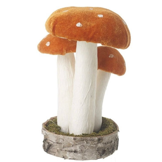 Cogumelos 20cm
