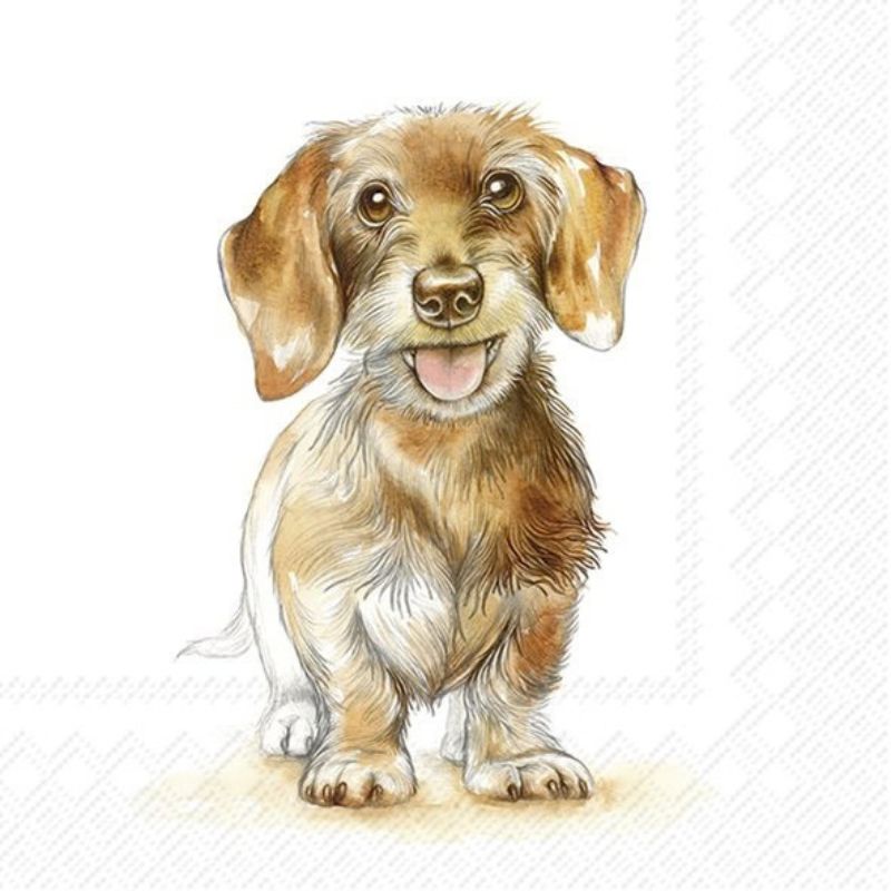 Guardanapos cão Fritz