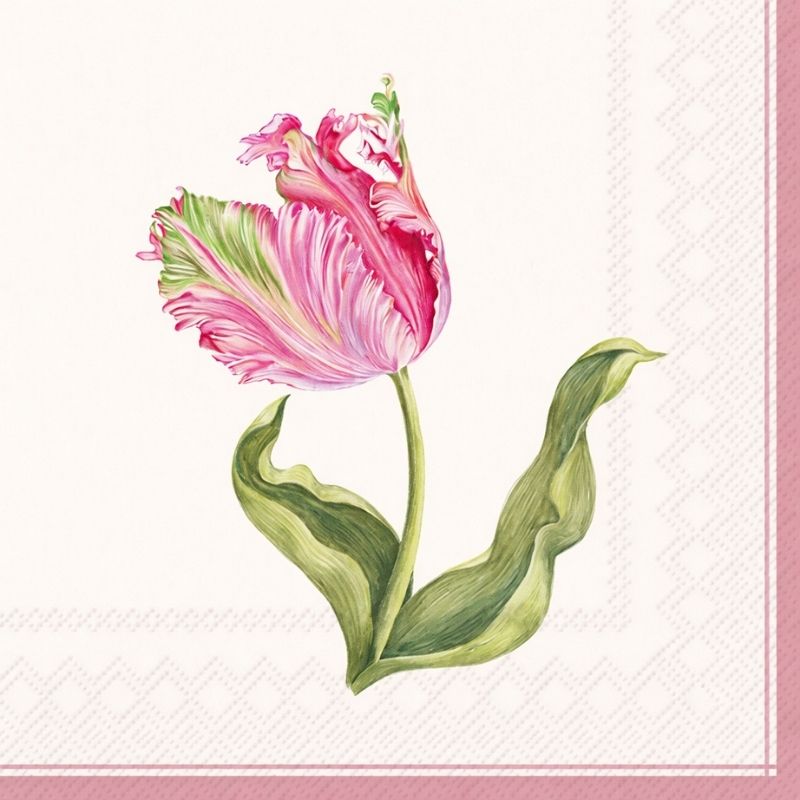 Guardanapos driselle 33cm