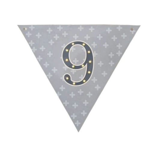 Bandeira Luminosa 9