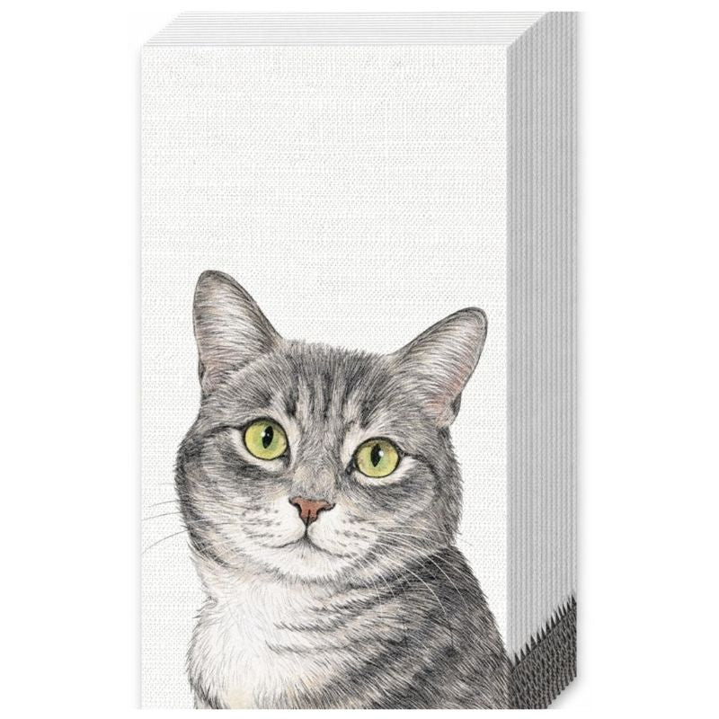 Lenços de papel gato