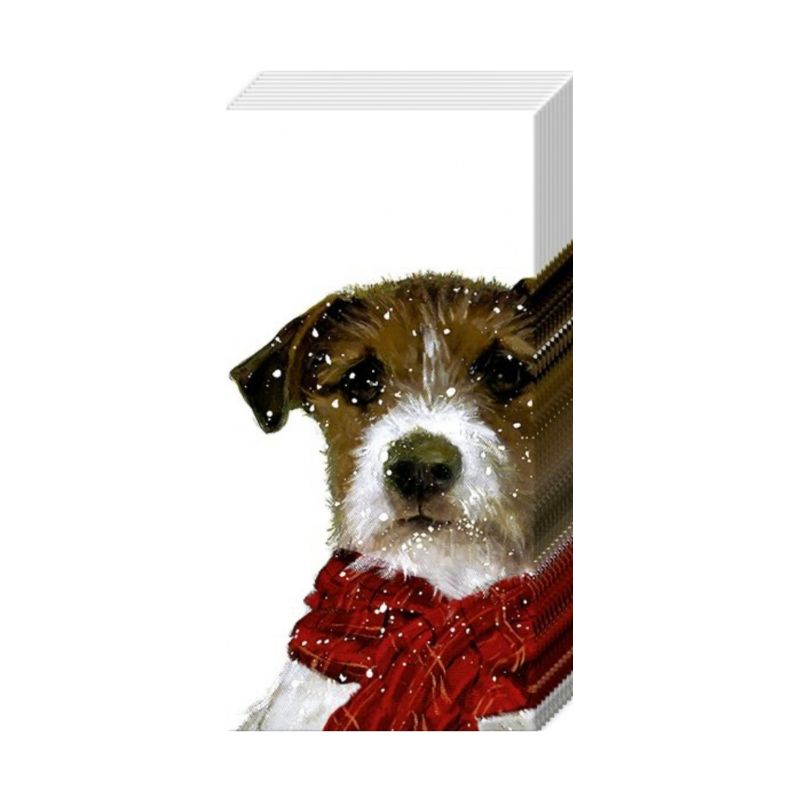 Lenços cão